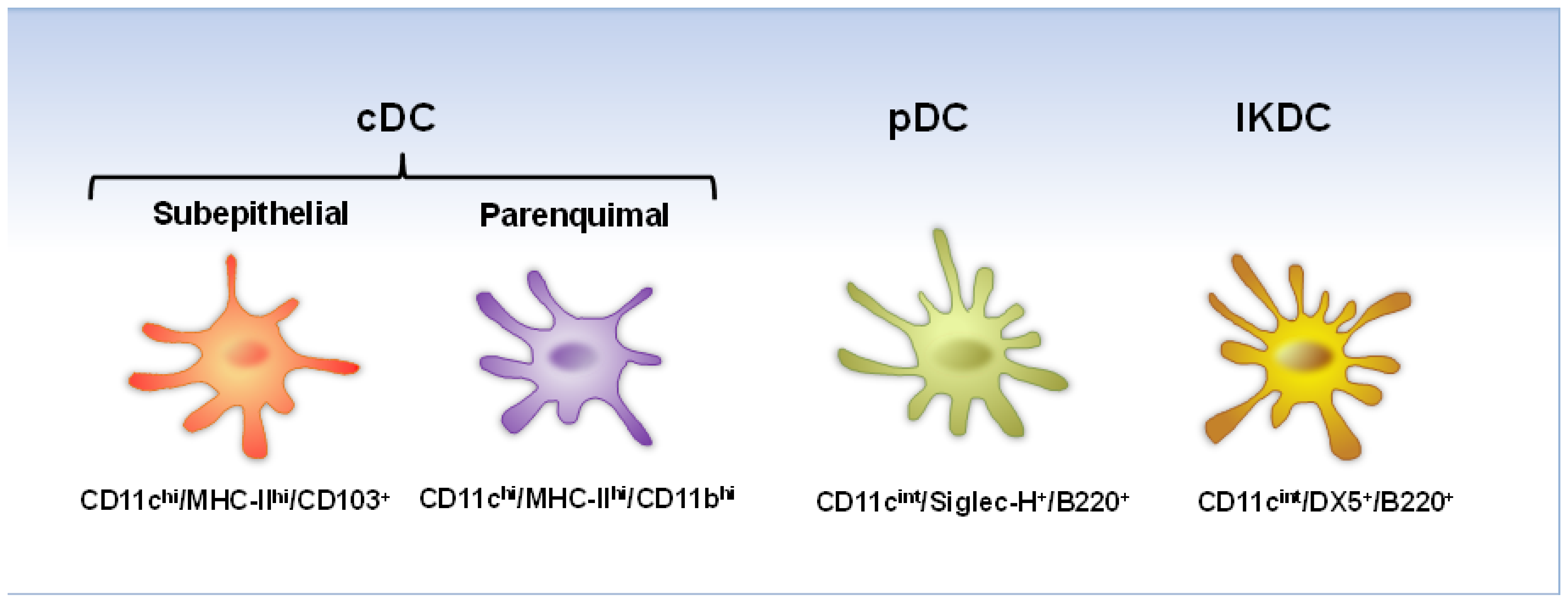 Viruses Free FullText Dendritic Cells in Human Pneumovirus and
