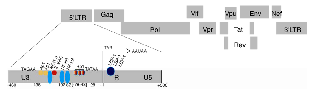 Viruses 05 01633 g001 1024