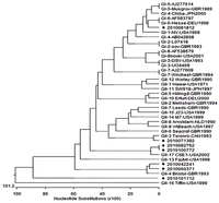 Viruses 05 01646 g001 200