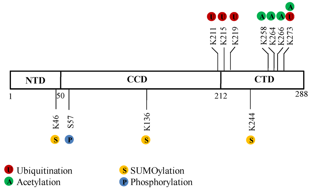Viruses 05 01787 g001 1024