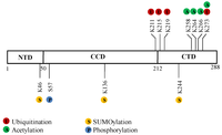 Viruses 05 01787 g001 200