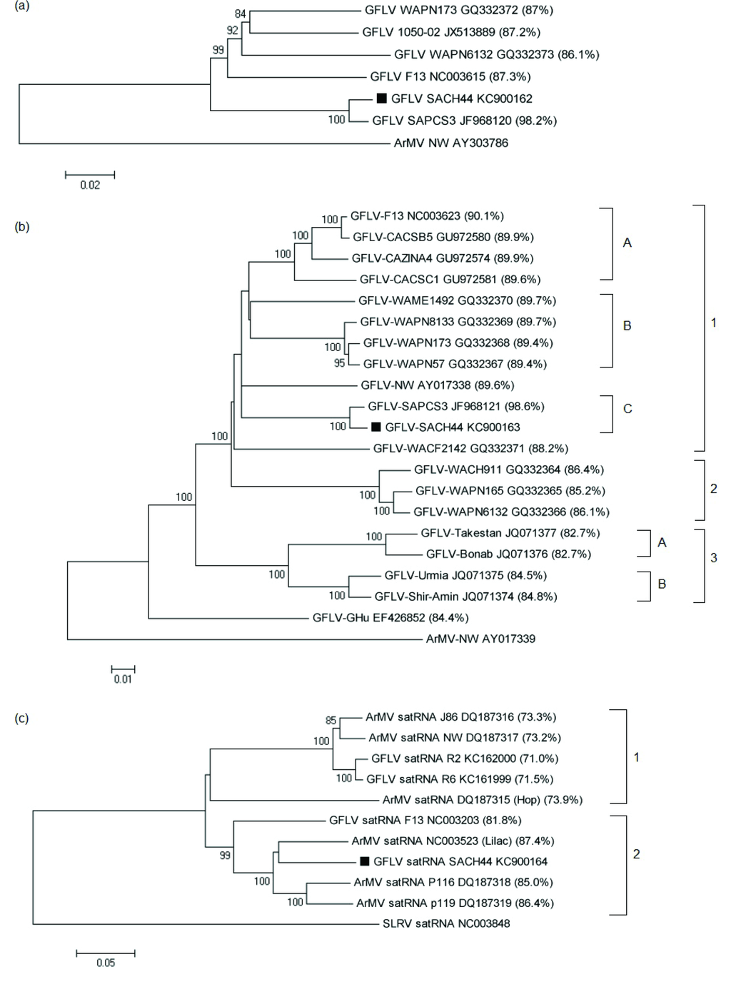 Viruses 05 01815 g001 1024