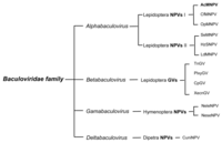 Viruses 05 01885 g001 200