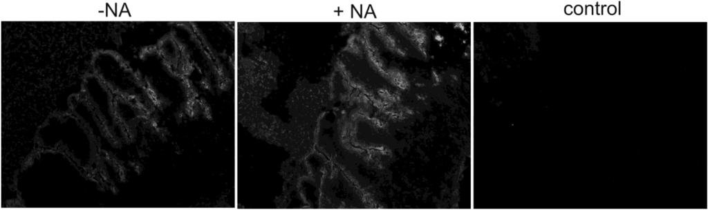 Viruses 05 01924 g005 1024
