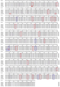 Viruses 05 01991 g002 200