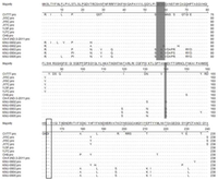 Viruses 05 01991 g004 200