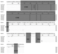 Viruses 05 01991 g005 200