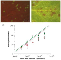 Viruses 05 02153 g002 200
