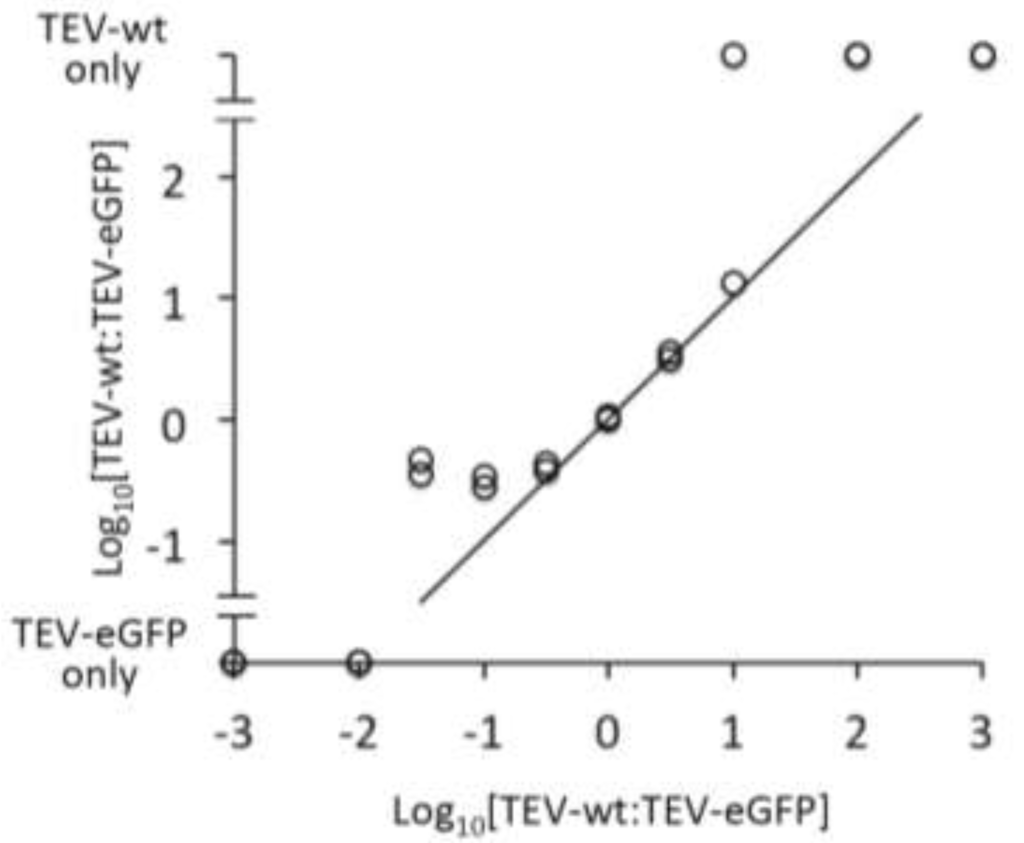 Viruses 05 02153 g005 1024