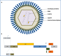 Viruses 05 02169 g001 200