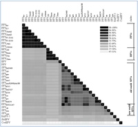 Viruses 05 02169 g002 200