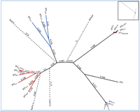 Viruses 05 02169 g003 200