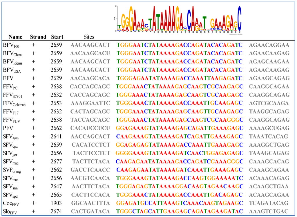 Viruses 05 02169 g004 1024