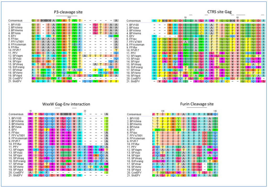 modeling risk applying monte carlo simulation real options analysis forecasting and optimization techniques wiley