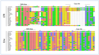 Viruses 05 02169 g007 200