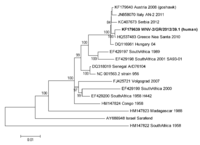 Viruses 05 02311 g001 200