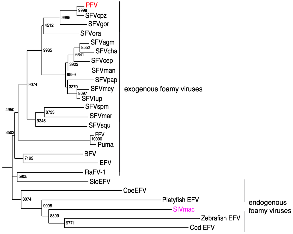 Viruses 05 02349 g004 1024