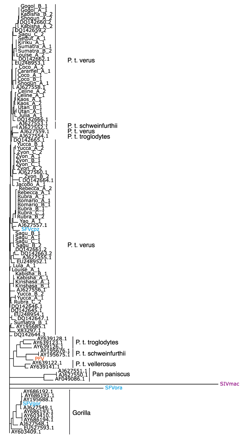 book numerical models