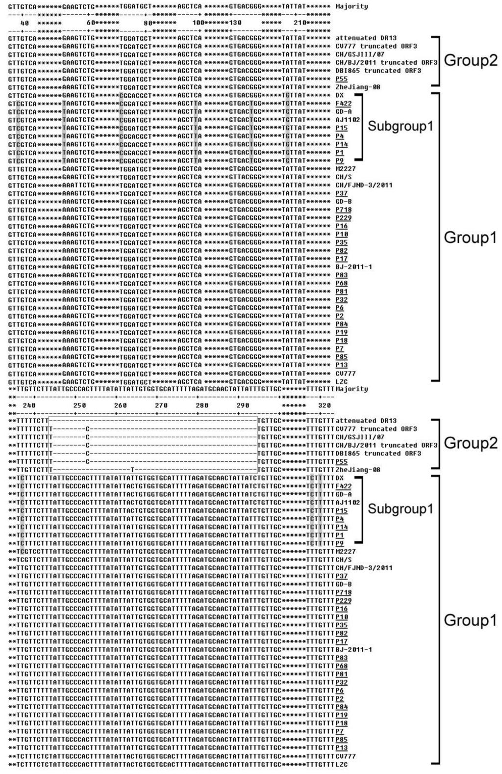 Viruses 05 02375 g001 1024