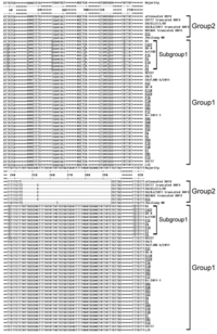Viruses 05 02375 g001 200