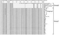 Viruses 05 02375 g002 200