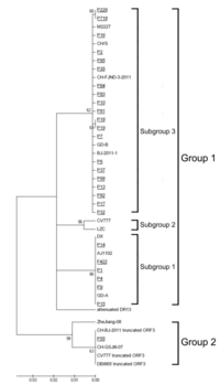 Viruses 05 02375 g003 200