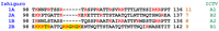 Viruses 05 02546 g001 200