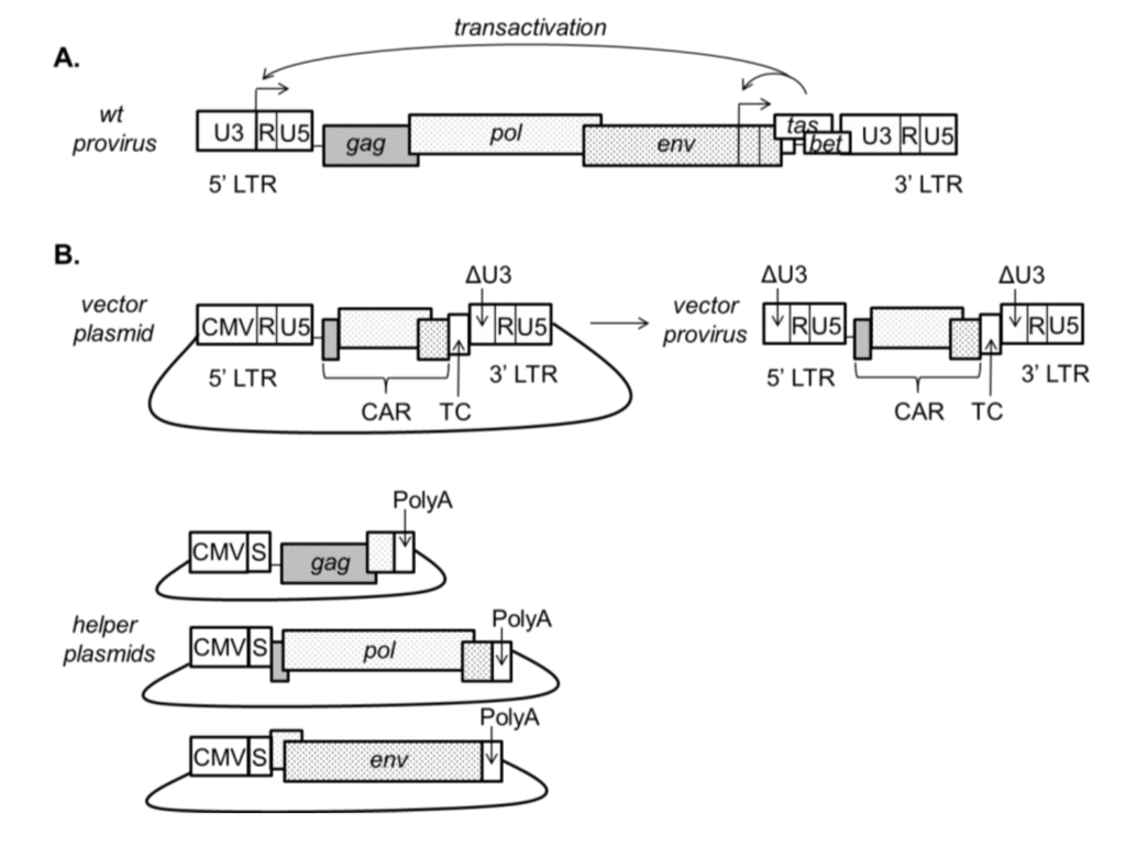 Viruses 05 02585 g002 1024