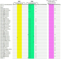 Viruses 05 02601 g001 200