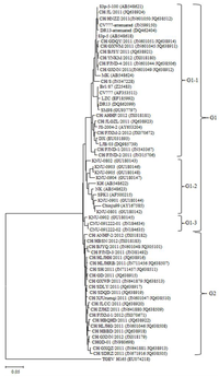 Viruses 05 02601 g002 200