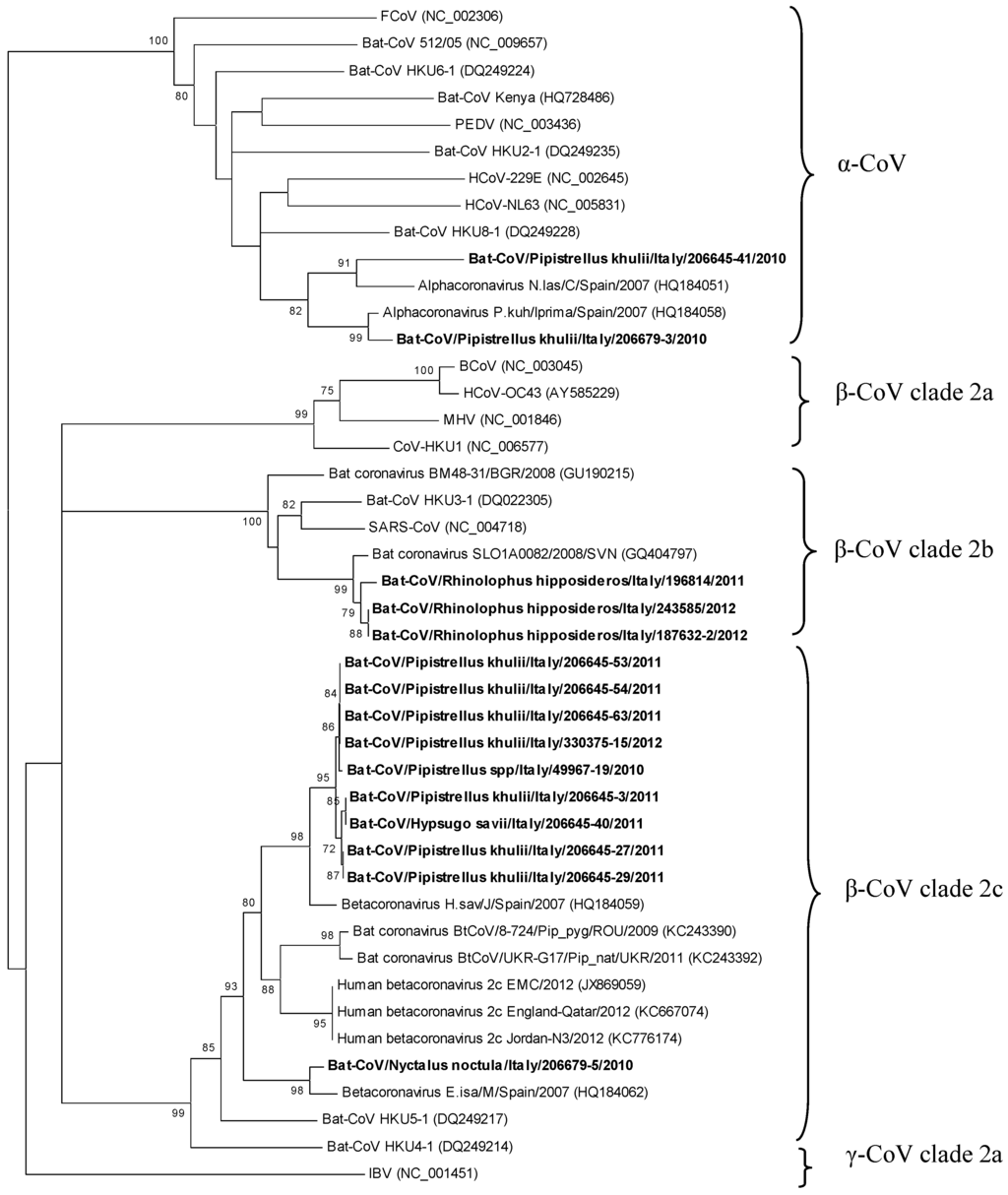 Viruses 05 02679 g001 1024
