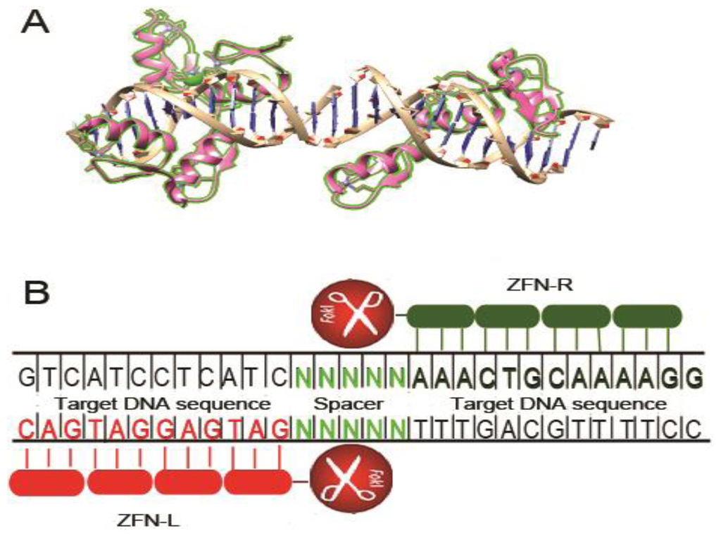 Viruses 05 02748 g001 1024