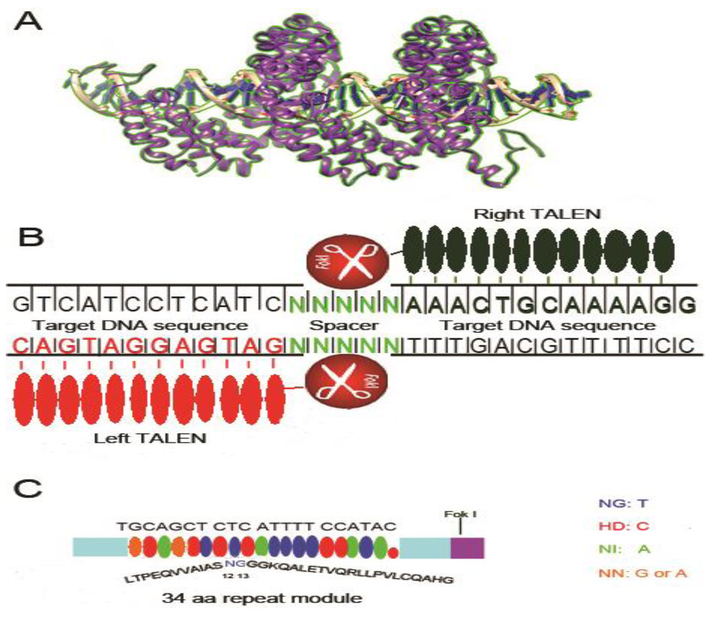 Viruses 05 02748 g002 1024