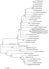 Viruses 05 02825 g003 200