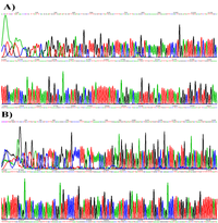 Viruses 05 02840 g001 200