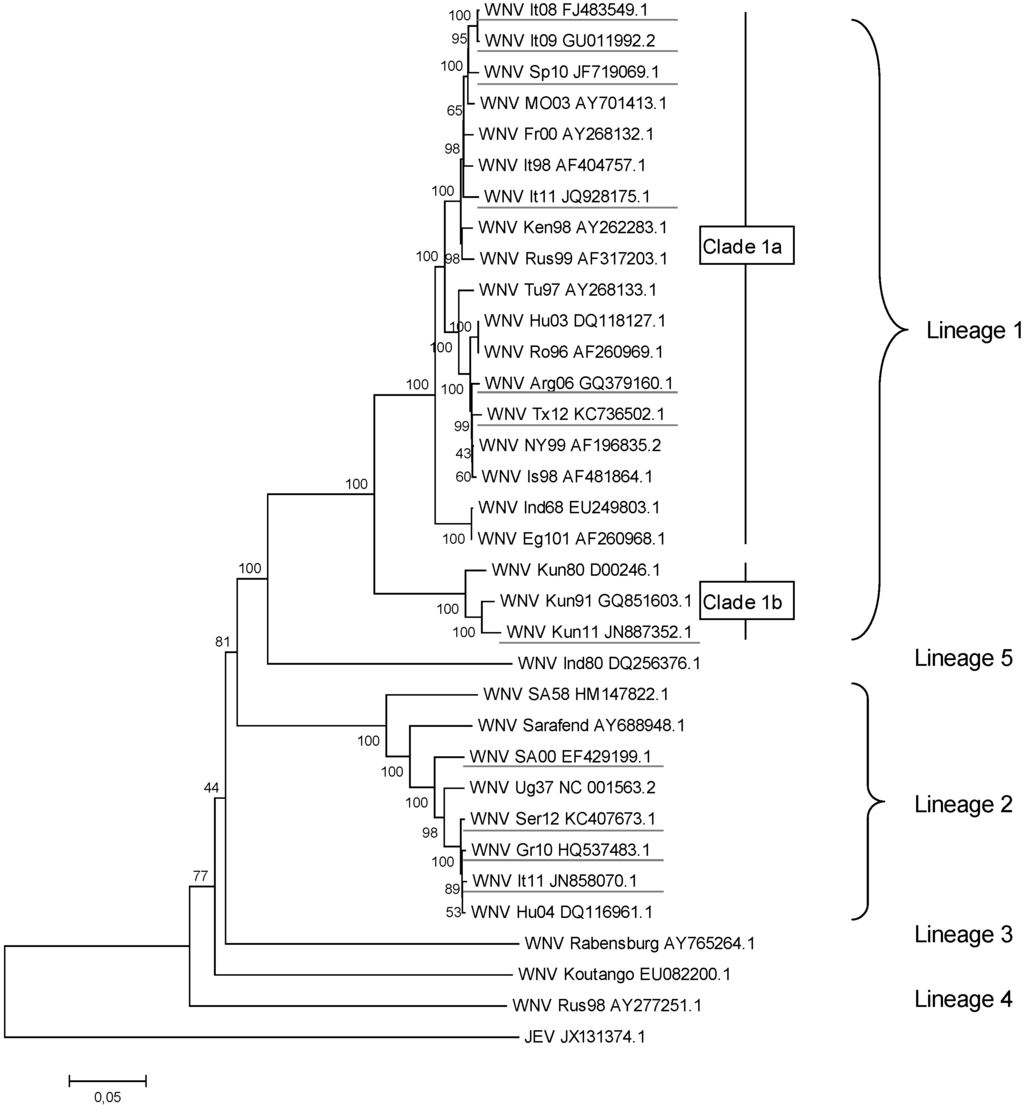 Viruses 05 02856 g001 1024