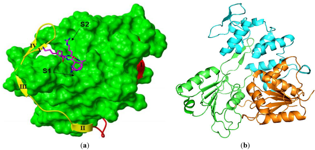 Viruses 05 02977 g001 1024