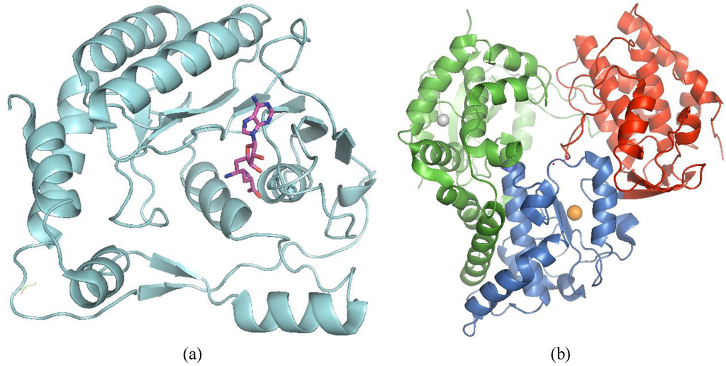 Viruses 05 02977 g002 1024