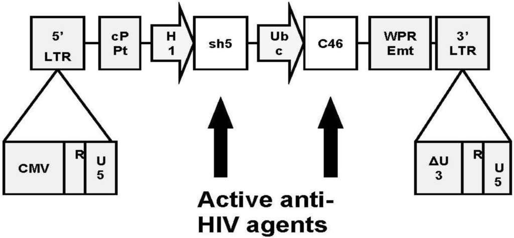 Viruses 06 00054 g001 1024