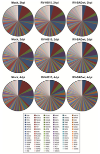Viruses 06 00172 g003 200