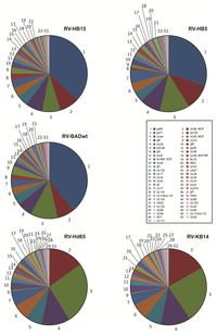 Viruses 06 00172 g004 200