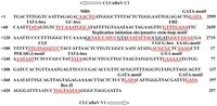 Viruses 06 00223 g001 200