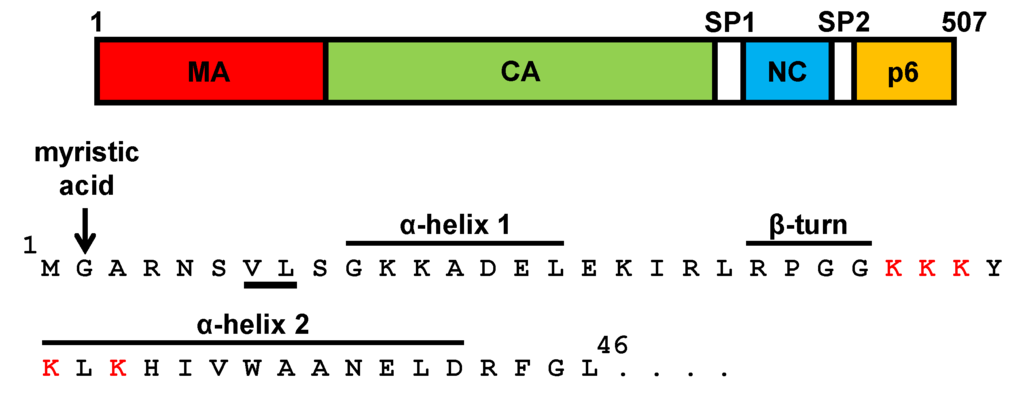 Viruses 06 00264 g002 1024
