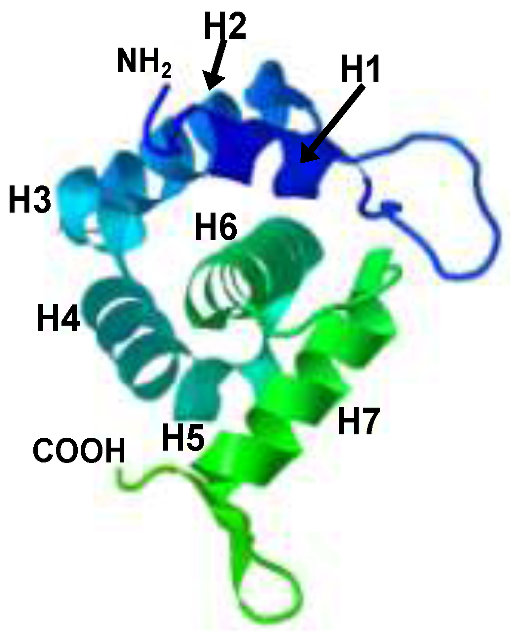 Viruses 06 00264 g003 1024