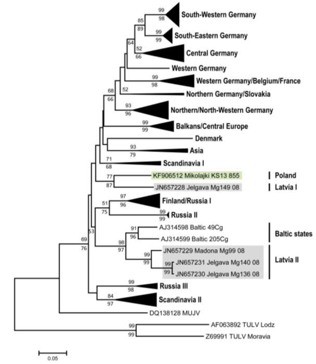 Viruses 06 00340 g002 1024
