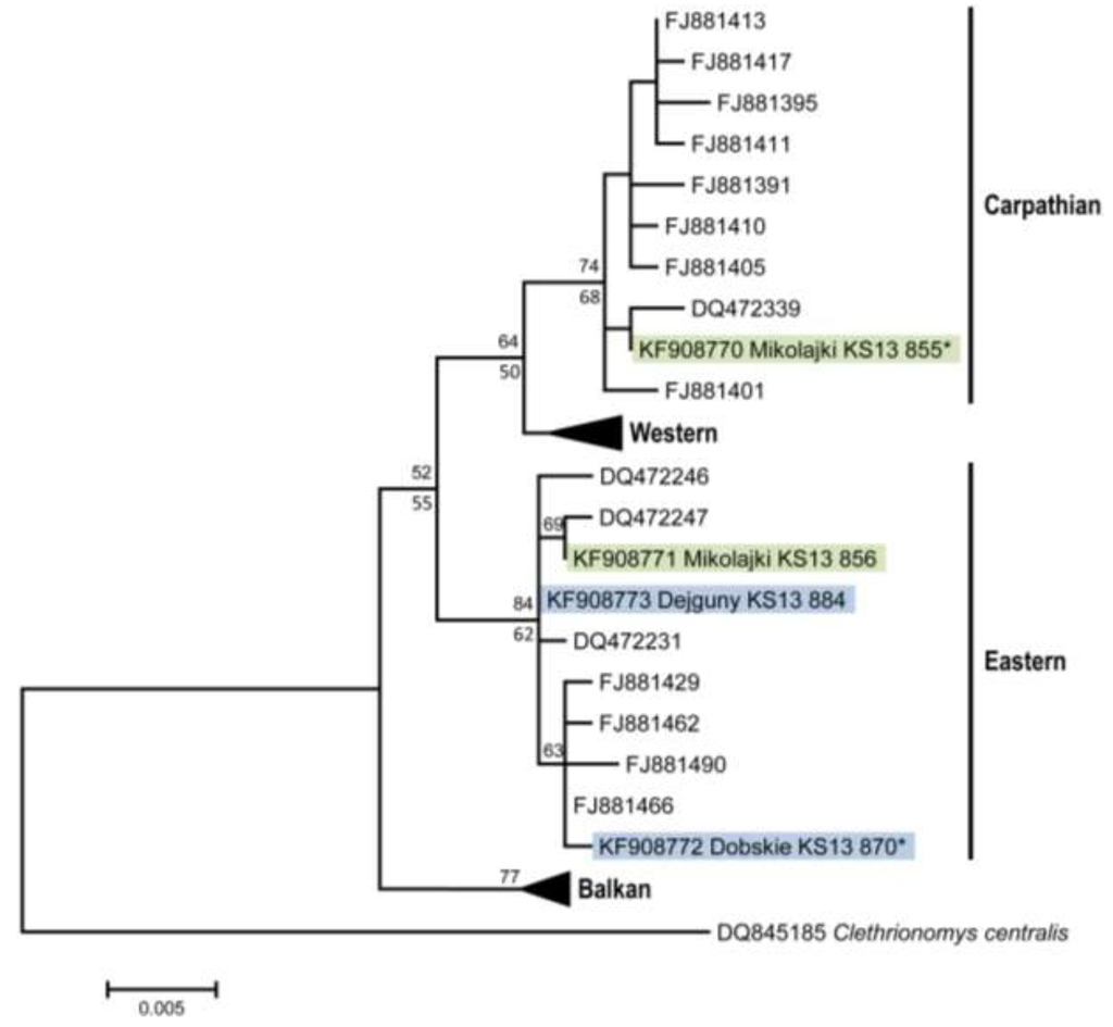 Viruses 06 00340 g003 1024