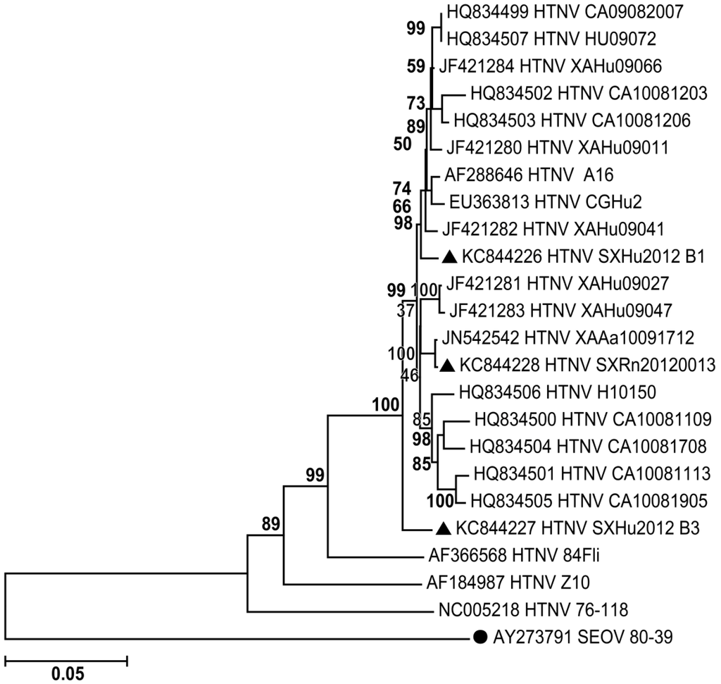 Viruses 06 00507 g002 1024