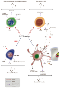Viruses 06 00535 g004 200