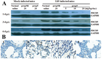 Viruses 06 00573 g002 200