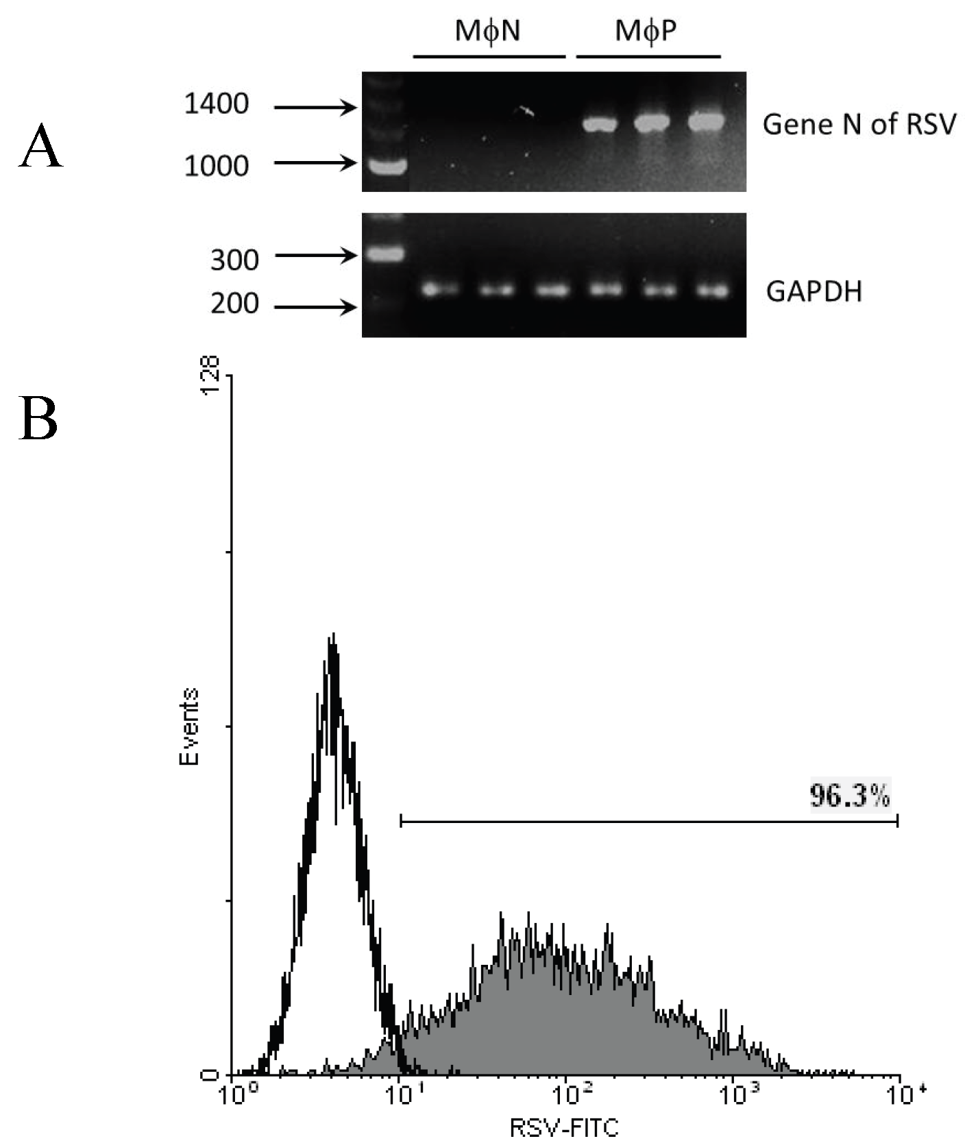 Viruses 06 00624 g001